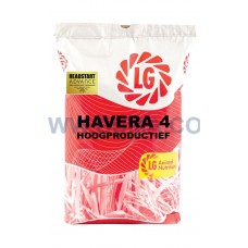 Havera 4 Hoogproductief